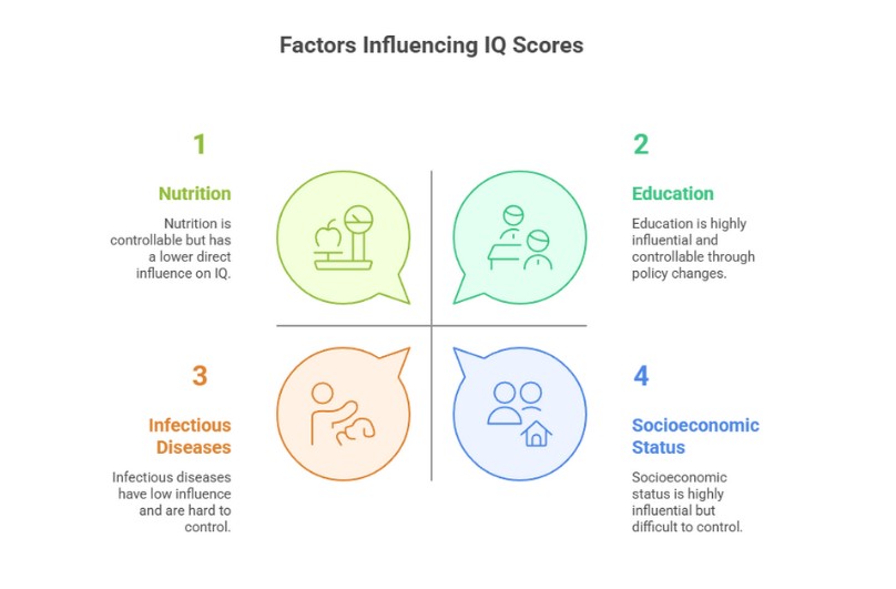 Graph showing which factors can influence IQ score