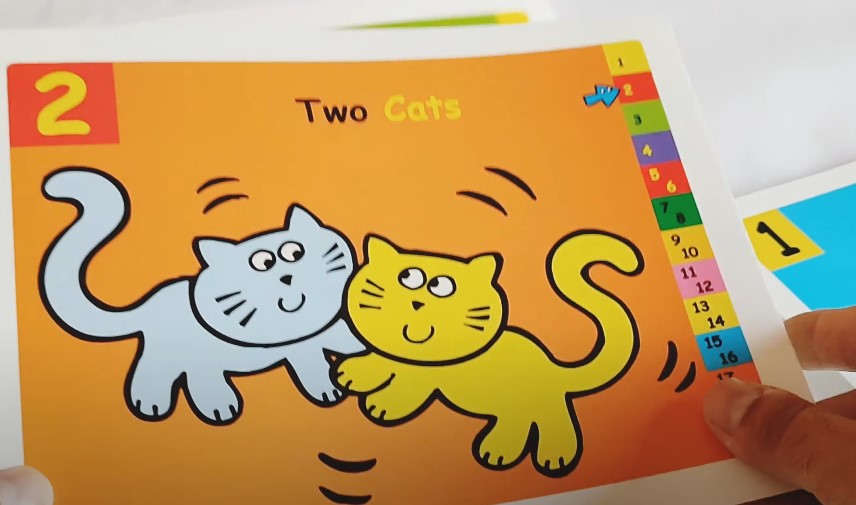 Person holding flashcard that shows two cats
