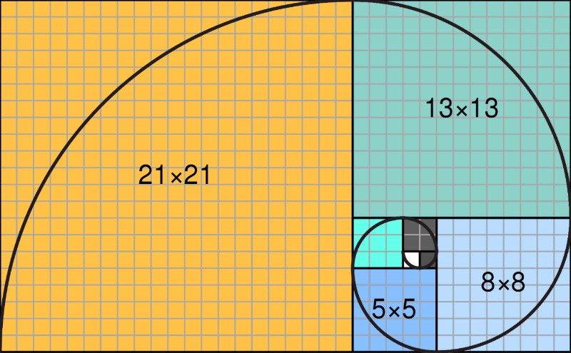 The Fibonacci spiral, a visual representation of mathematical harmony