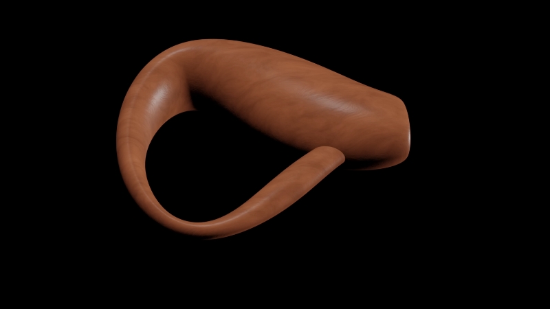 A 3D model of a twisted Möbius strip shape displayed against a black background