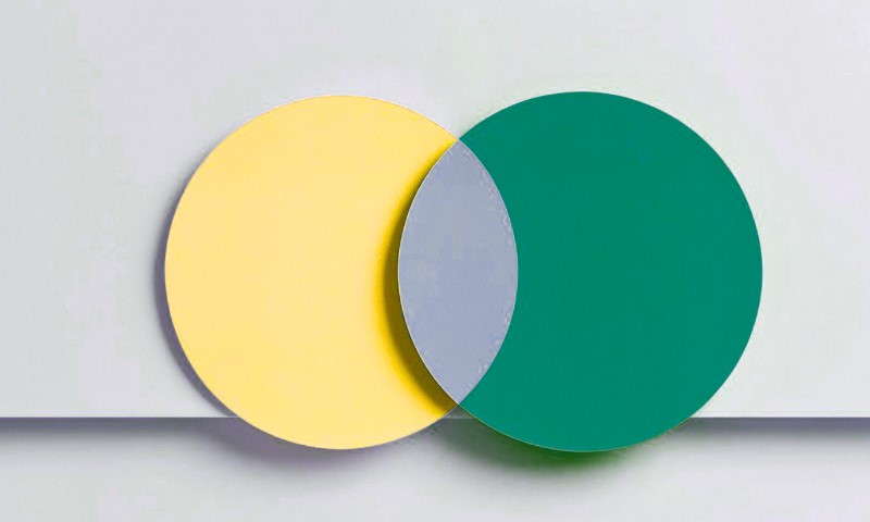 Venn diagram featuring two overlapping circles