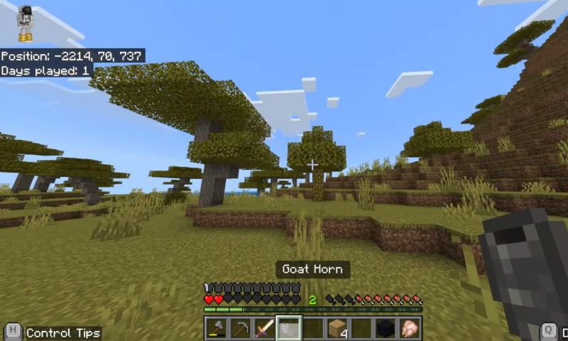 Minecraft gameplay